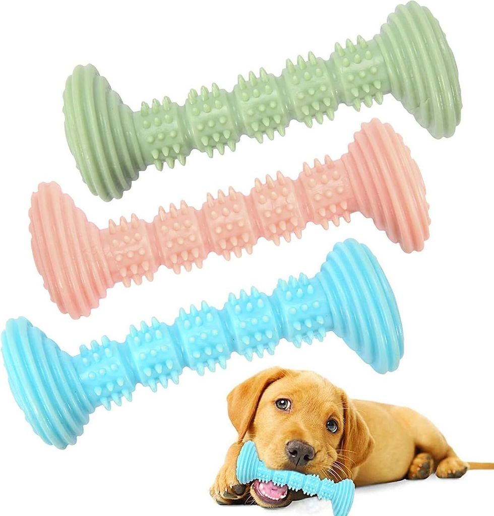 Zahnpflege und Kauspielzeug für kleine Hunde und Welpen