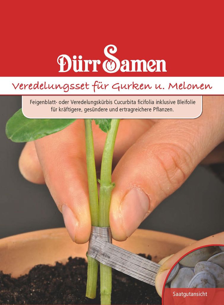 Veredelungsset für Gurken und Melonen (Feigenblattkürbis / Produktbild 