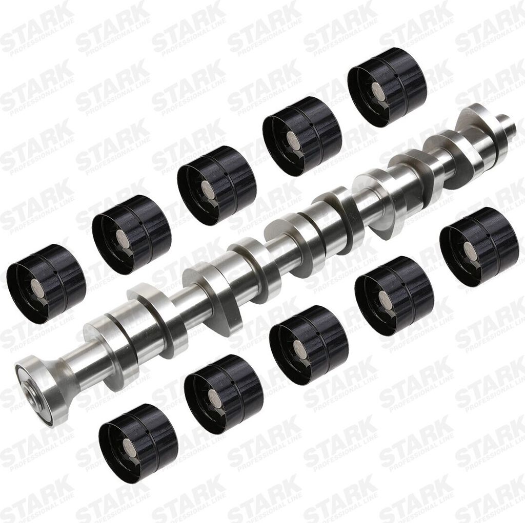 STARK SKCSK-6980022 - OE 038109309A Nockenwellensatz für T5, Touareg (7L)