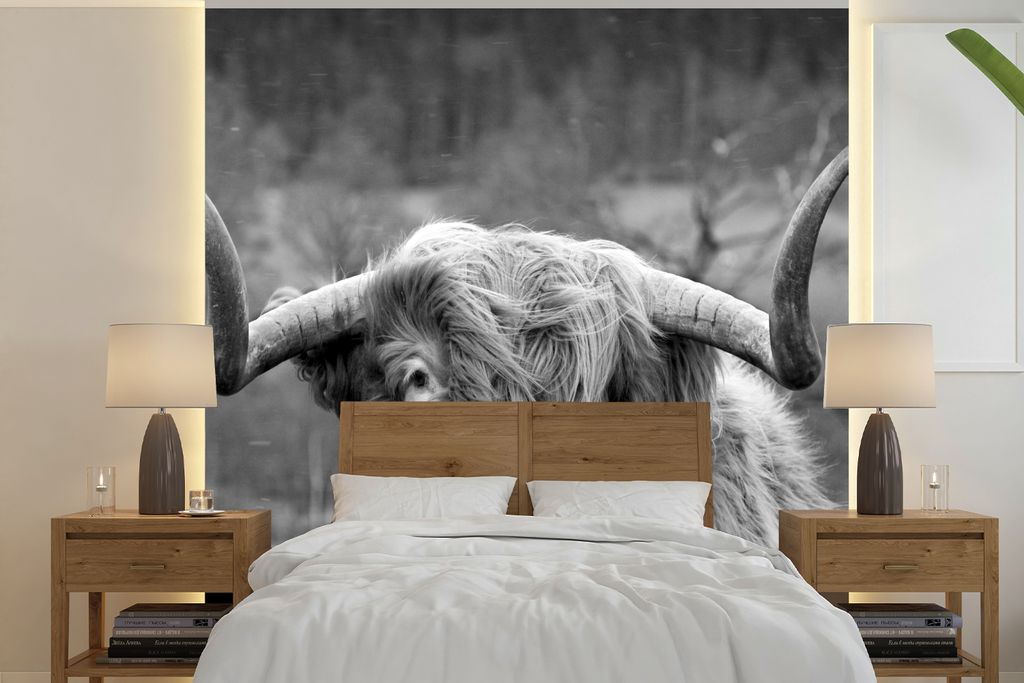 MuchoWow Fototapete für Wohnzimmer oder Schlafzimmer Wandtapete Vinyl Motivtapete Schottischer Highlander - Kuhkopf - Landschaft - Natur - Kuh -...