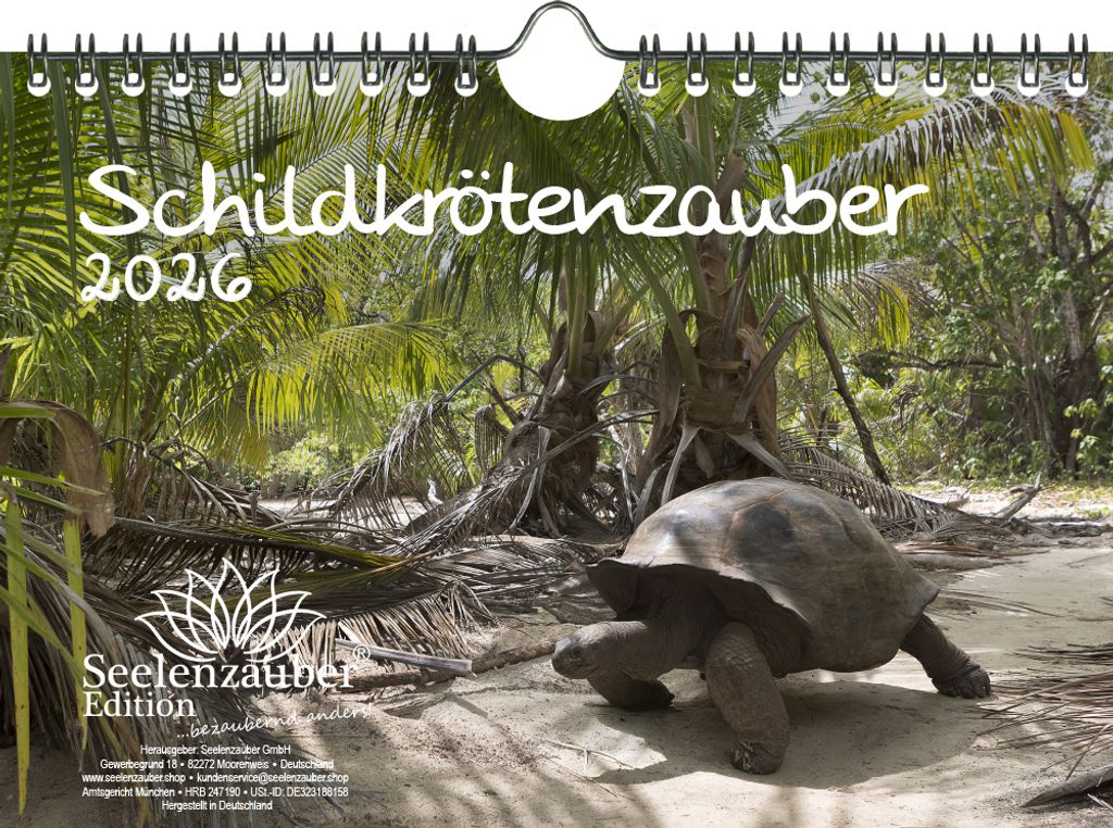 Schildkrötenzauber DIN A5 Kalender für 2026 Schildkröten - Produktbild 
