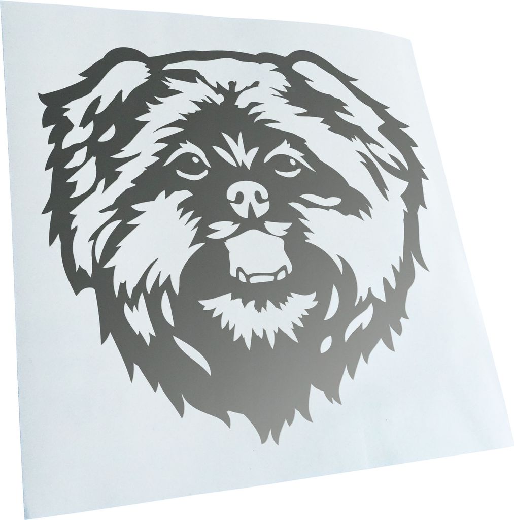 Kiwistar - Autoaufkleber - Affenpinscher Hund - Silber - 60x55cm - Aufkleber für Auto, Laptop, Fahrrad, LKW, Motorrad mehrfarbig JDM Decal Racing