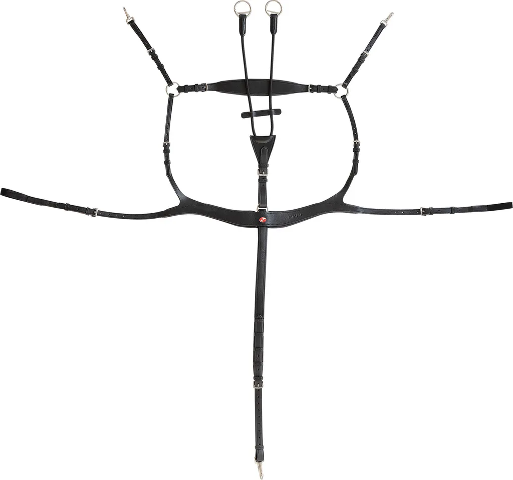 Bridon en Cuir Kieffer Palmanova Noir pour Cheval de Selle et Cob