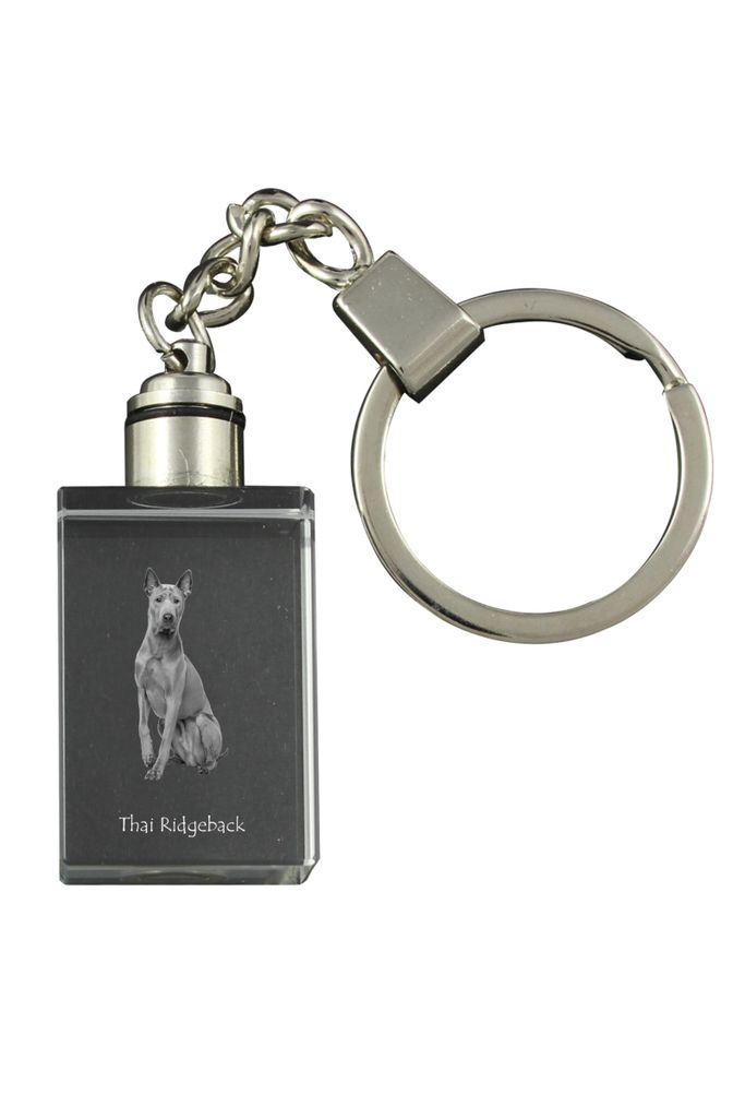 Thai Ridgeback, Thailand-Ridgeback - Schlüsselanhänger aus Kristall mit Hundefoto, beleuchteter Schlüsselanhänger, einzigartiges Geschenk der M...