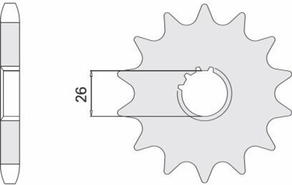 Kettensatz EK-Chain 530 ZVX-3 für Triumph 955 Tiger ab Modelljahr 2005- Farbe Gold