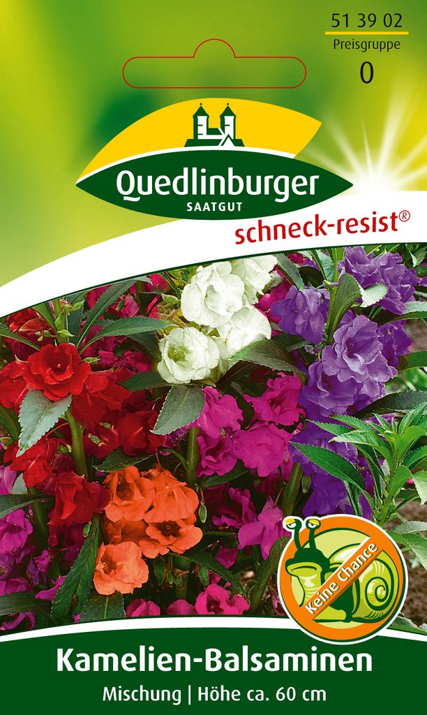 Quedlinburger Saatgut - Kamelien-Balsamine Mischung - Samen Produktbild 