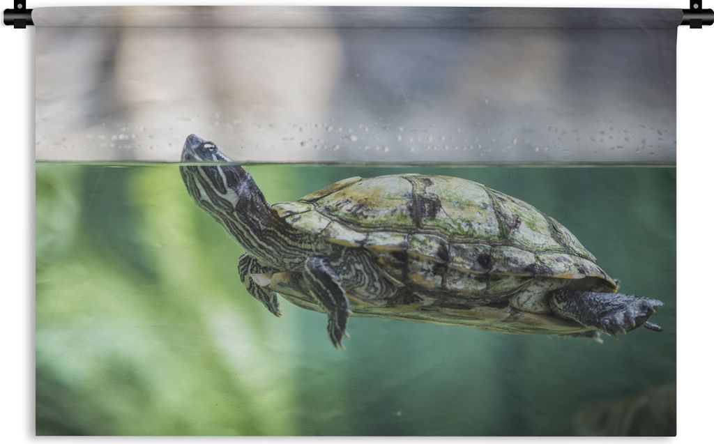 MuchoWow Wandteppich Wandbehang Nahaufnahme einer Schildkröte 150x100 cm Tapisserie Dekoration Wandtuch - Waschbar - Tapisserien - Wand-Decke