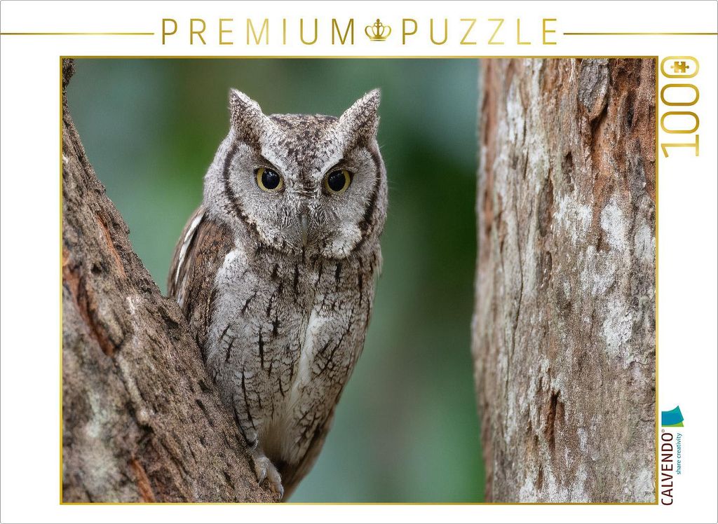 CALVENDO Puzzle Winzige Zwergohreule getarnt im Baumstamm | 1000 Teile Lege-Größe 64x48cm Foto-Puzzle für glückliche Stunden