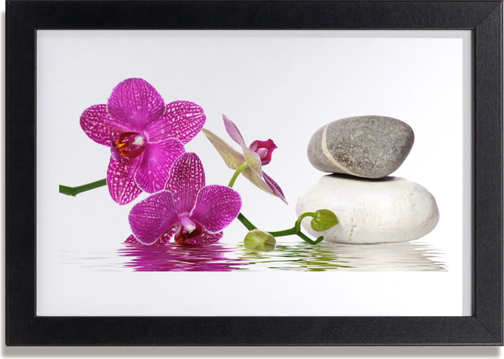 Bild 30x20 MDF-Rahmen Wandkunst Weiße Blumen-Kunst
