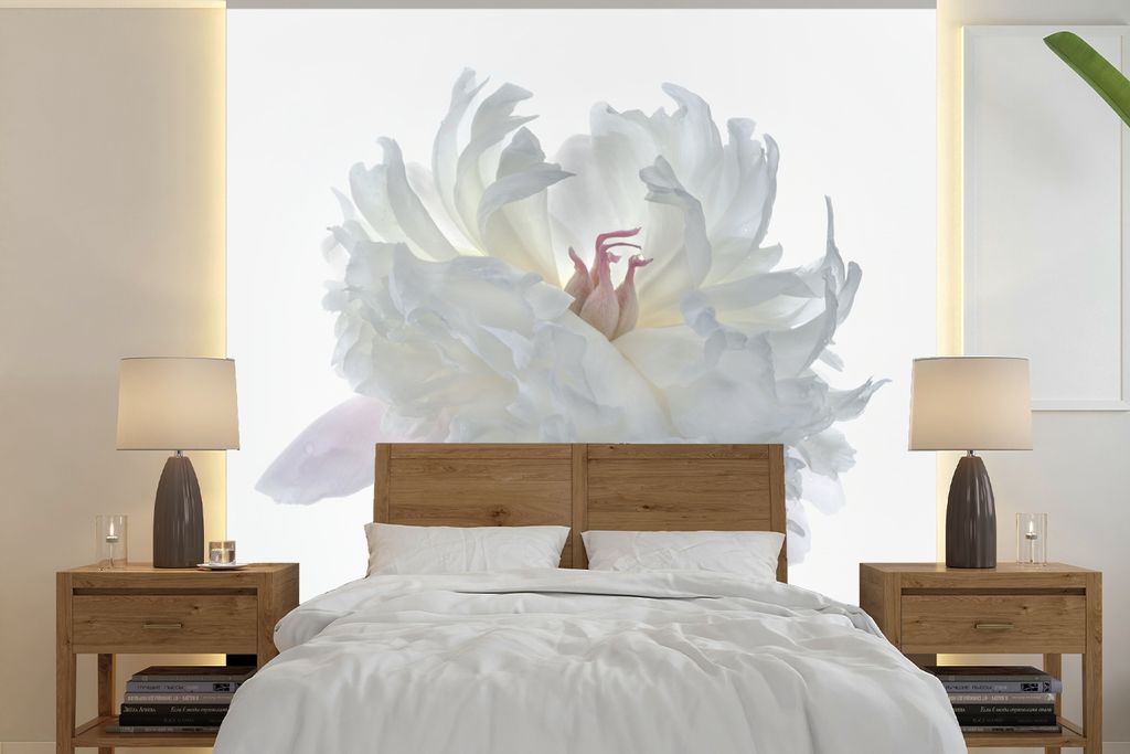 MuchoWow Fototapete für Wohnzimmer oder Schlafzimmer Wandtapete Vinyl Motivtapete Weiße Pfingstrose mit weißem Hintergrund - 220x220 cm - Tapeten