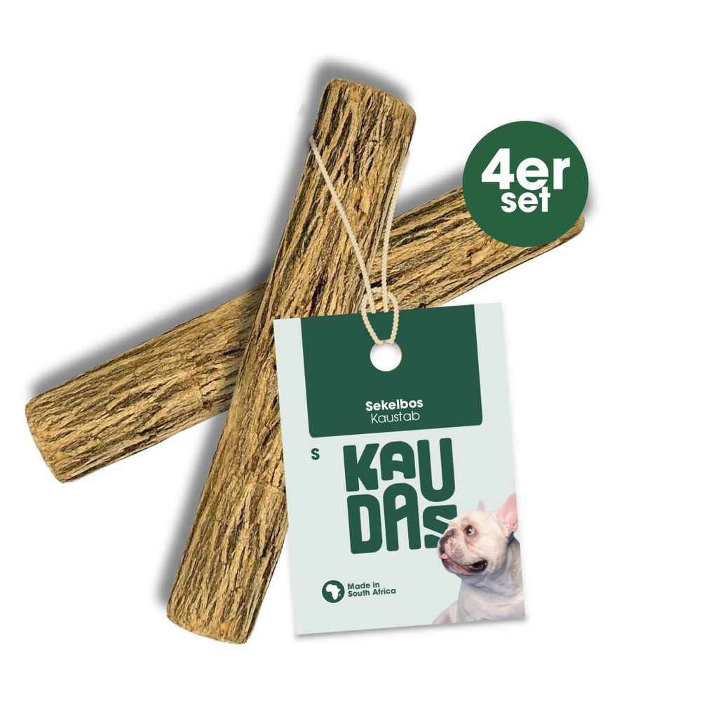 KAUDAS Sekelbos Kauholz Hund - 4× S naturbelassen & splitterfrei, zur Zahnpflege