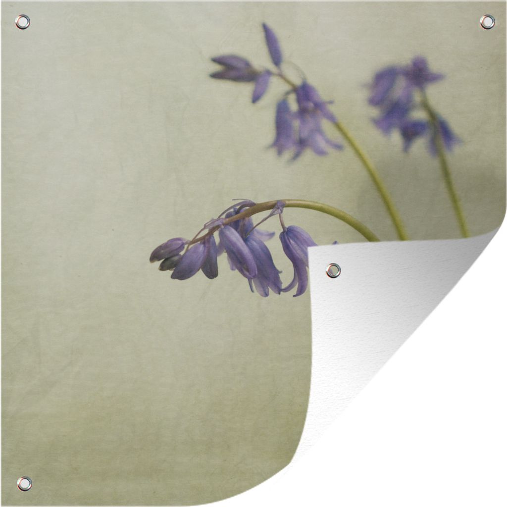 MuchoWow 50x50 cm Outdoor-Poster Gartendeko Sichtschutz Garten Poster für den Garten Funkelnde Sternhyazinthen auf hellgrünem Hintergrund