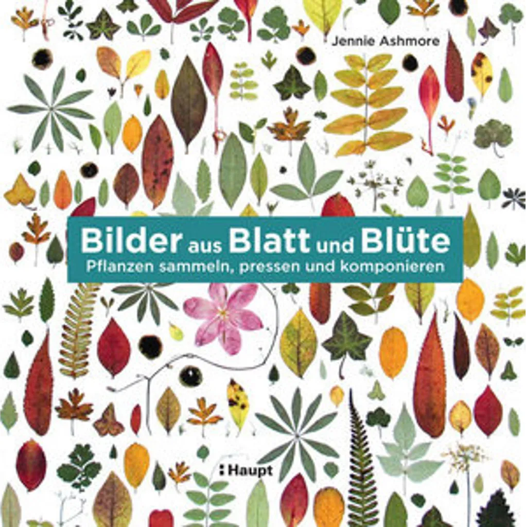 Tableau végétal durable Bilder aus Blatt und Blüte sans entretien requis