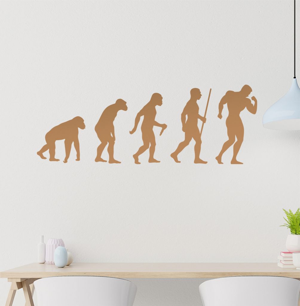 Bodybuilding Evolution Wandtattoo Wandaufkleber Wall Sticker - Dekoration, Küche, Wohnzimmer, Schlafzimmer, Badezimmer