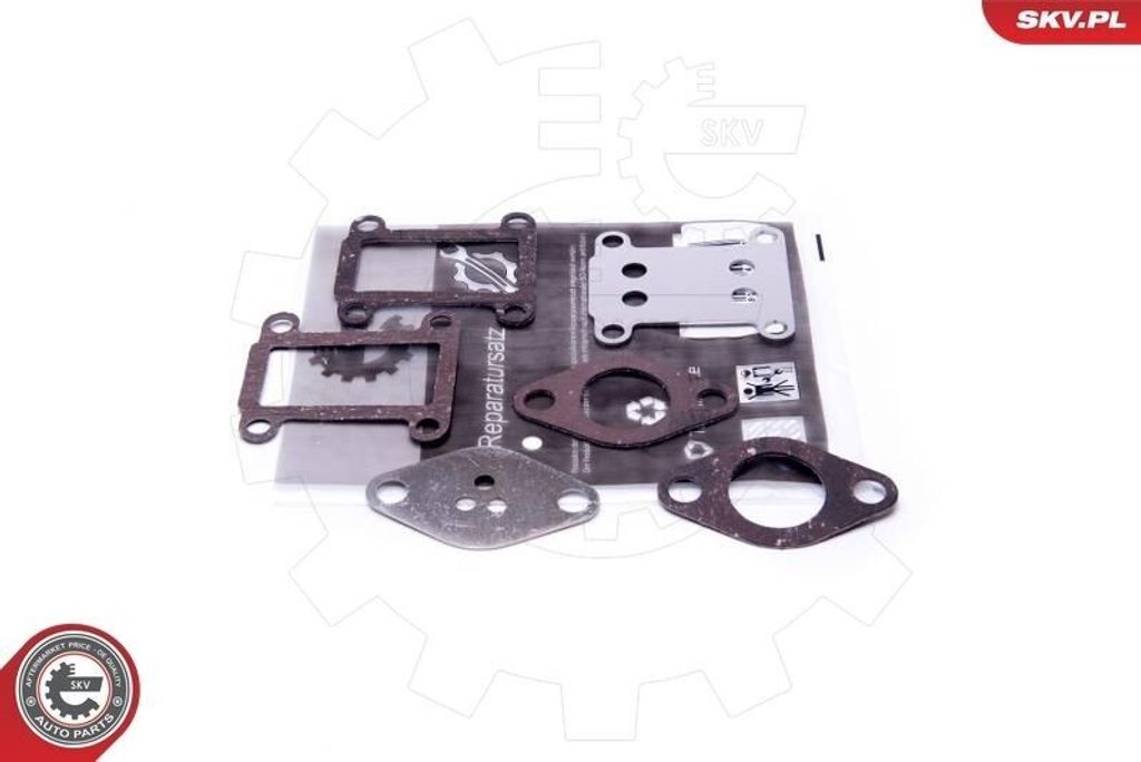 ESEN SKV Reparatursatz AGR-Ventil 14SKV528 0,06kg