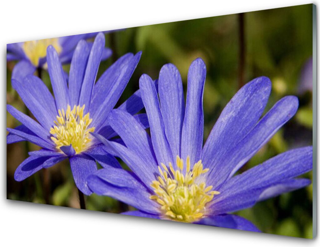 Acrylglasbilder 100x50 Wandbild Druck Blumen Pflanzen