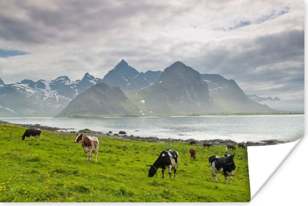 MuchoWow Poster Kuh - Berg - Meer 30x20 cm - Plakate - Print