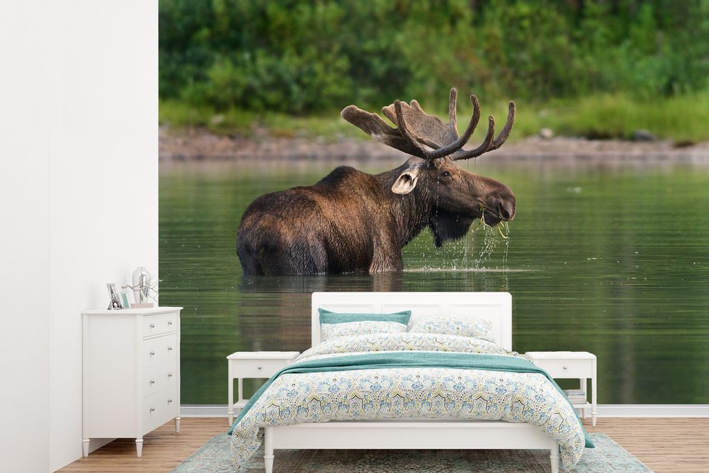 MuchoWow Fototapete für Wohnzimmer oder Schlafzimmer Wandtapete Vinyl Motivtapete Elche im Wasser - 385x280 cm - Wallpaper