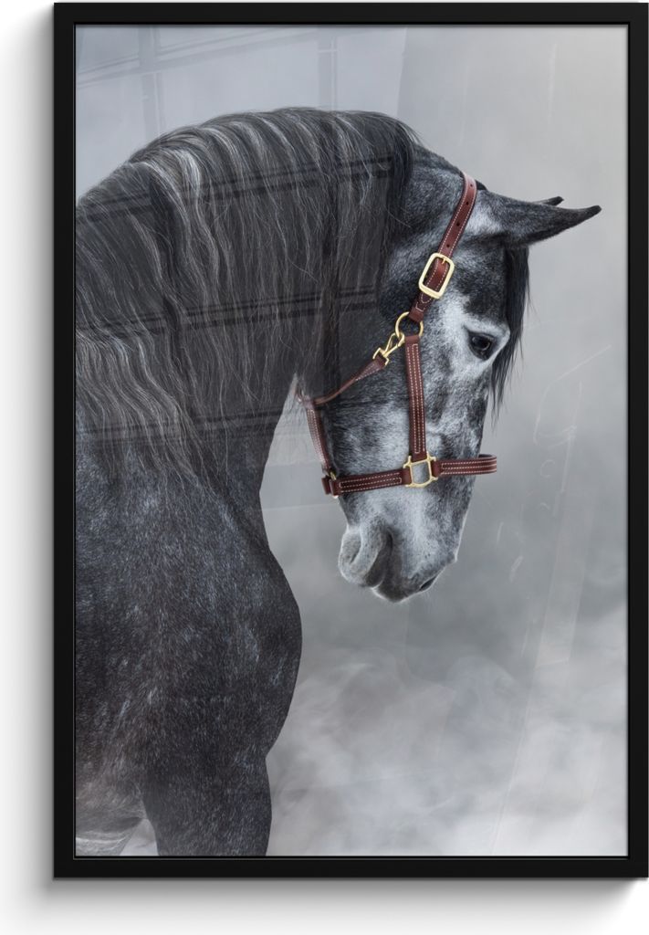 MuchoWow MuchoWow Gerahmtes Poster Pferd - Grau - Braun - Tiere - Rauch 60x90 cm - Poster mit zchwarzem Bilderrahmen - Kunst
