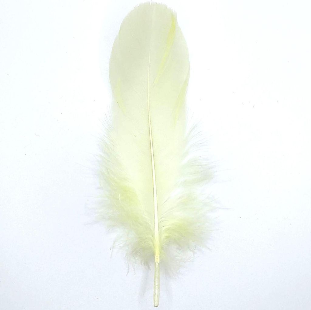 Piume Piume d'oca, circa 15-20 cm, 10 pezzi, crema Immagine del prodotto 