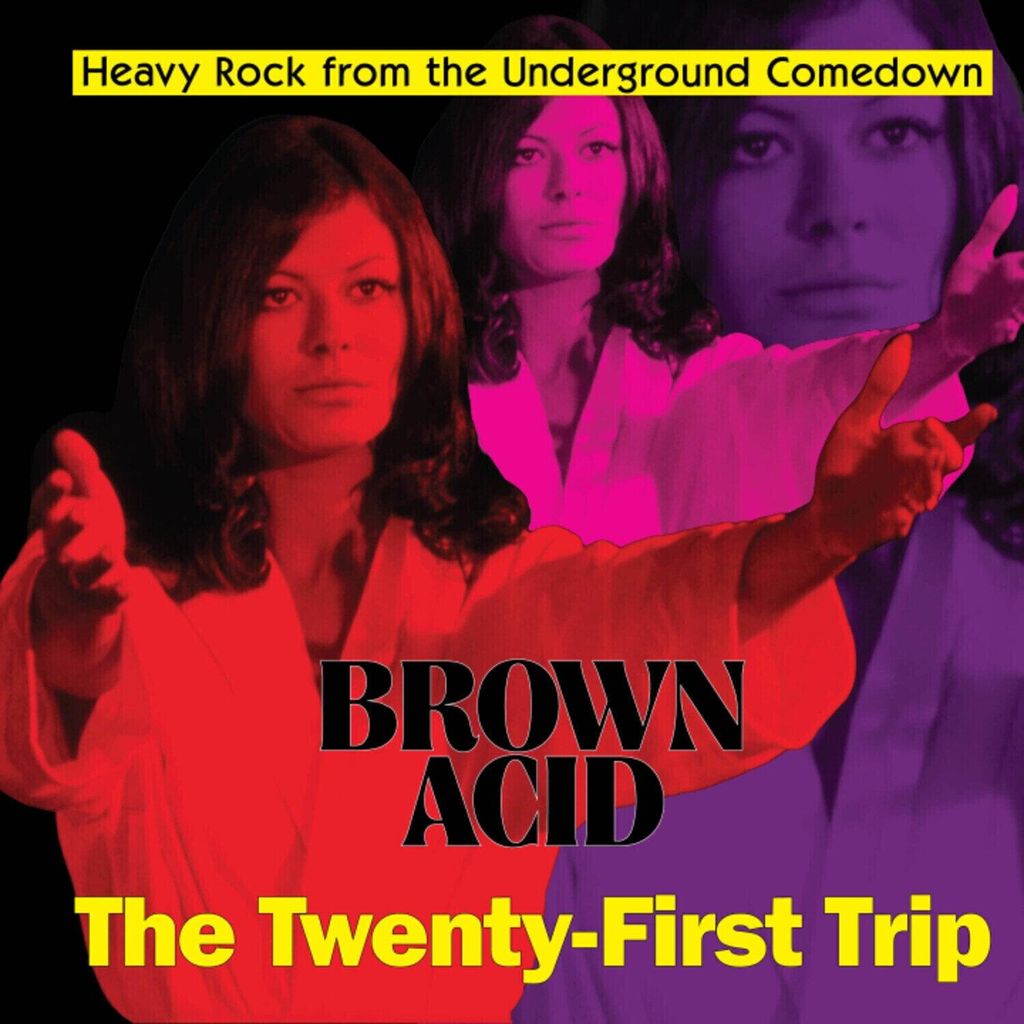 Various Artists - Brown Acid: the 21th Trip (LP)