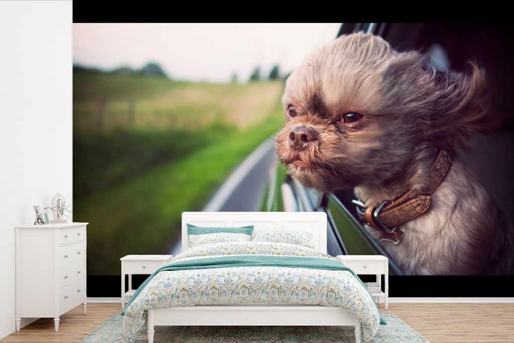 MuchoWow Fototapete für Wohnzimmer oder Schlafzimmer Wandtapete Vinyl Motivtapete Hund - Auto - Tier - 450x300 cm - Gemusterte