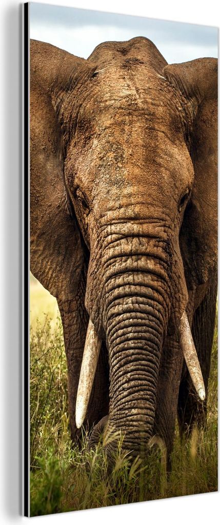 MuchoWow Wanddekoration Metall Metallbild Wandkunst 20x40 cm Afrikanischer Elefant Vorderansicht MuchoWow Aluminium Gemälde - Aluminium Gemäldes