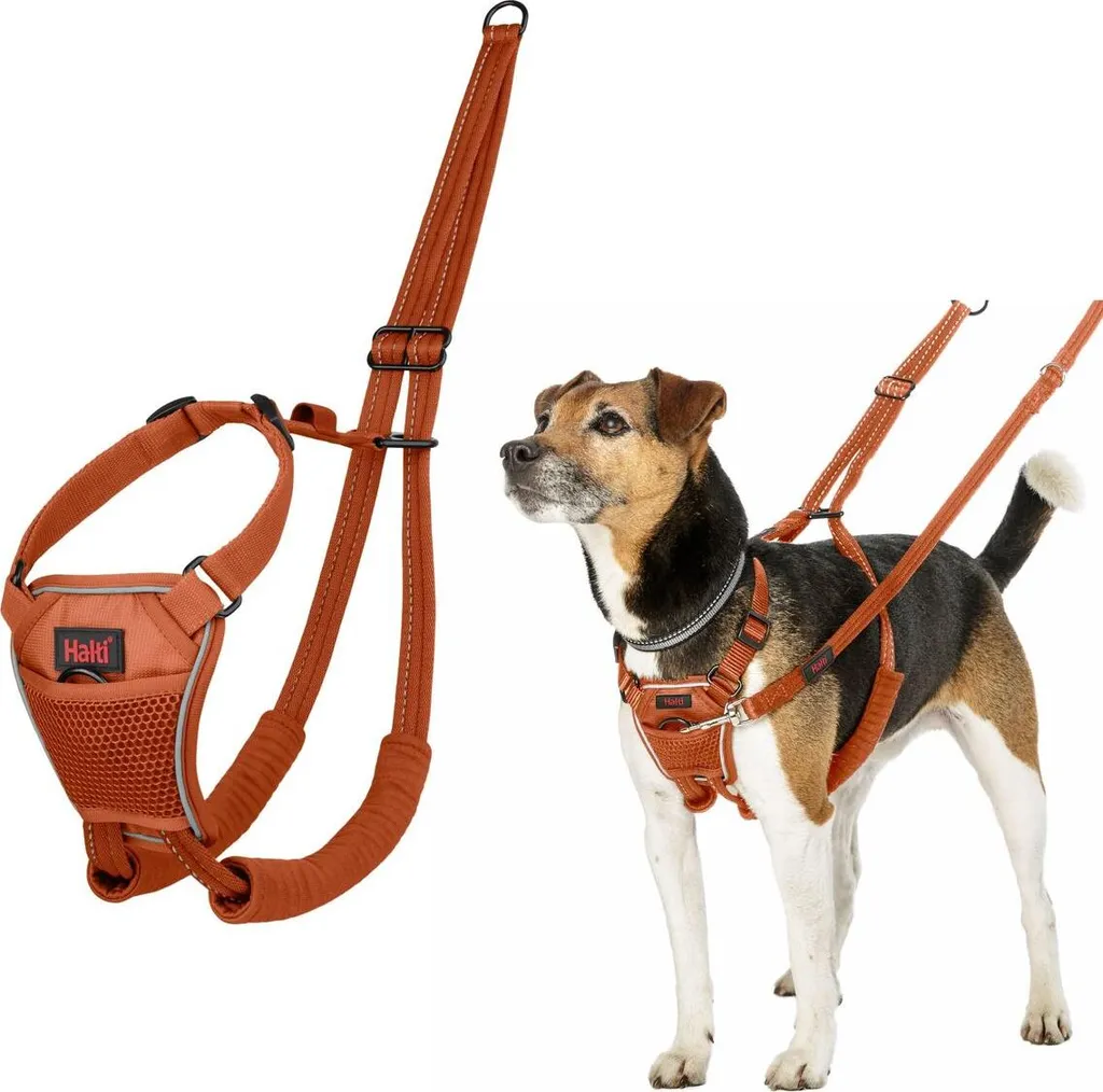 Hundegeschirr Compagnia degli Animali Arancione 20