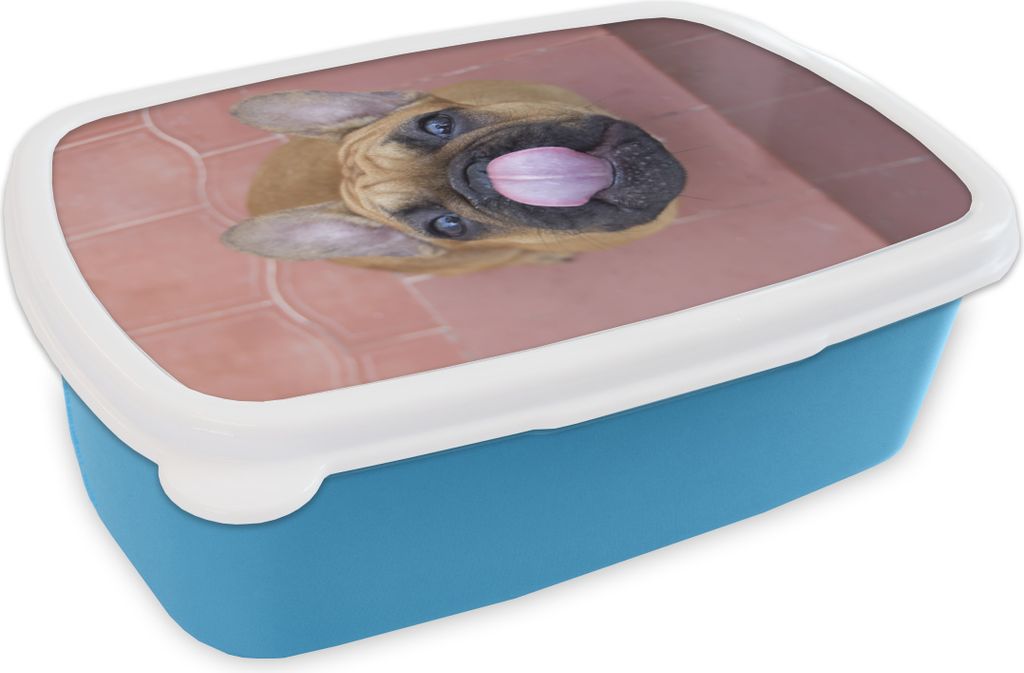 KitchenYeah Lunchbox Brotzeit Brotdose 17x11 cm Ein Welpe einer Französischen Bulldogge Kinder Brotzeitdose - Lunch - Kunststoff - Brotbüchse ...
