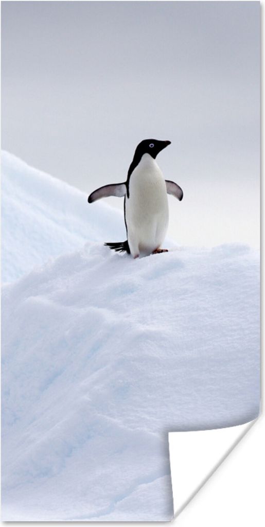 MuchoWow Poster Pinguin - Eis - Winter 75x150 cm - Dekoration für die Wände