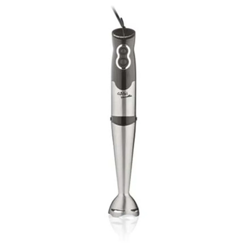 Gallet Naucelle GALMIX415 Mixeur plongeant 500W en Inox avec 2 Vitesses