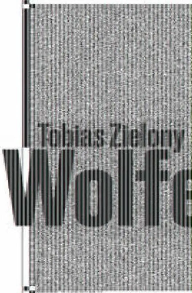 Monographie Tobias Zielony Wolfen ouvrage de photographie Allemande
