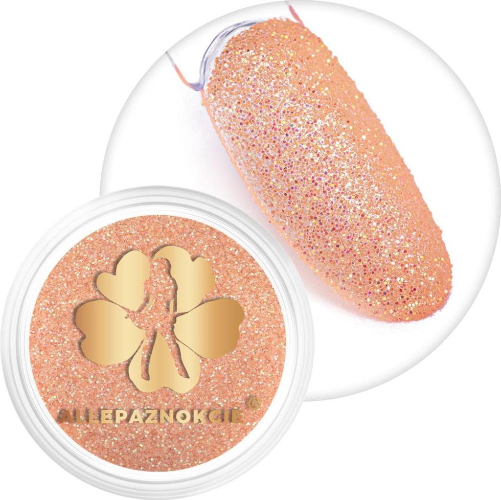 Mermaid Nail Dust AllepaNails Glas 2,5 g Nr. 2
