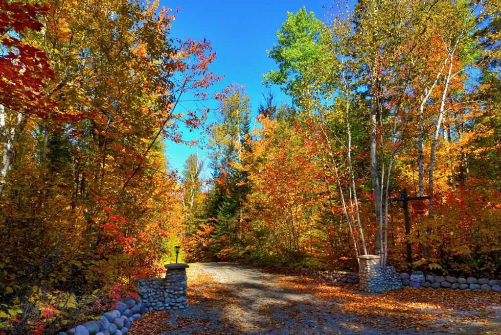 hansepuzzle 45223 - Herbstliche landschaft Puzzle, 2000 Teile, Natur, 90,0 x 60,0cm mit hochwertiger Aufbewahrung, Kartonbox & Beutel