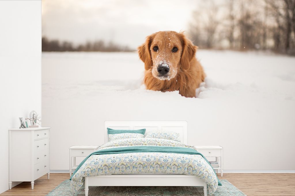 MuchoWow Fototapete für Wohnzimmer oder Schlafzimmer Wandtapete Vinyl Motivtapete Hund - Schnee - Winter - 600x400 cm - Vinyltapeten