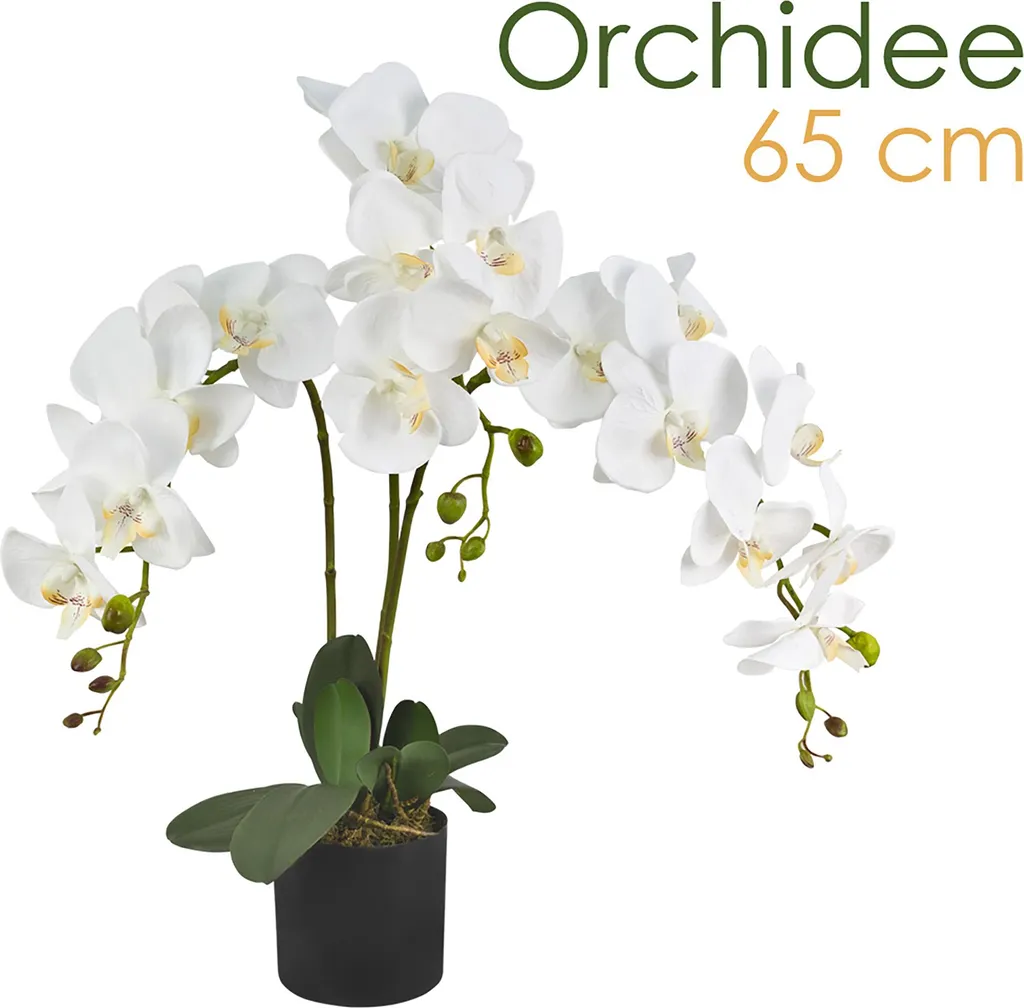 Orchidée Artificielle Réaliste 65cm Blanche : Finies les Fleurs Fanées