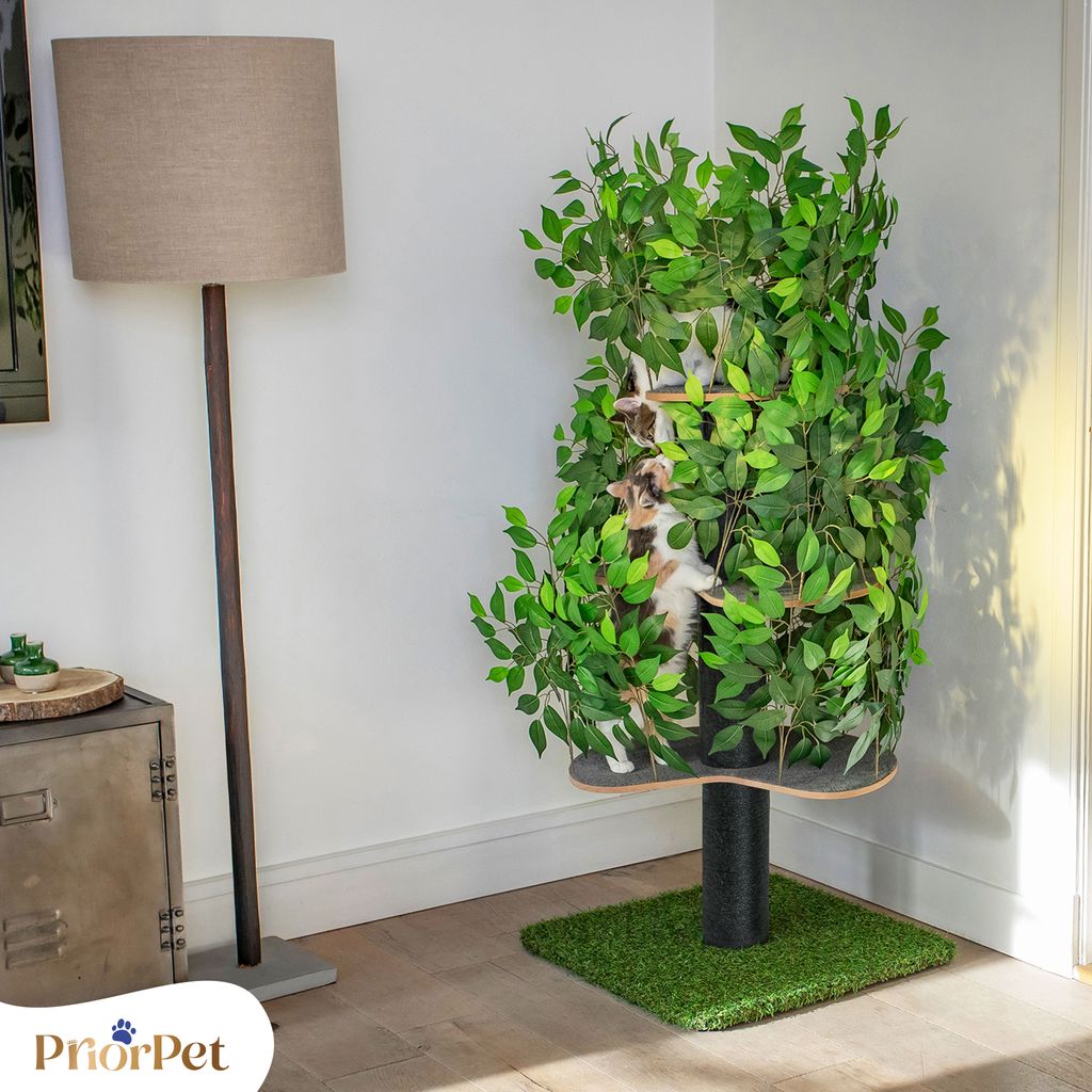 Kratzbaum Natur zum Klettern, Verstecken und Schlafen - Produktbild 6