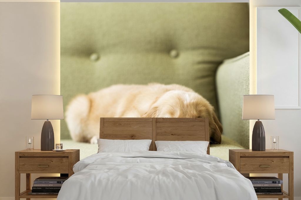 MuchoWow Fototapete für Wohnzimmer oder Schlafzimmer Wandtapete Vinyl Motivtapete Ein schlafender Golden Retriever Welpe auf dem Sofa - 350x350 ...