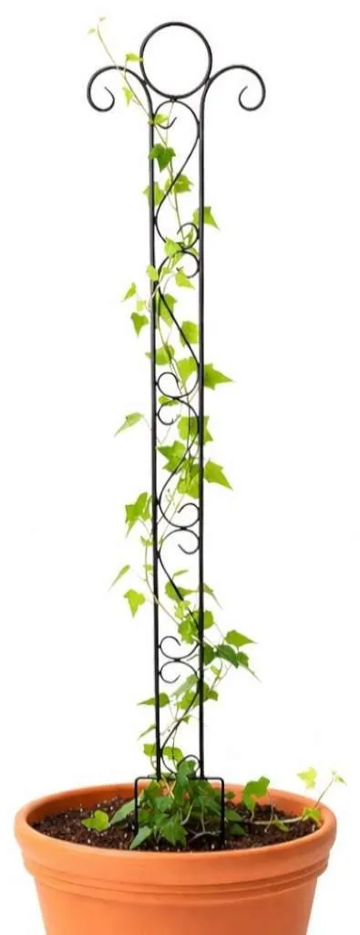 Support Plantes Grimpantes 135 cm Treillis Métal pour Mur Végétal