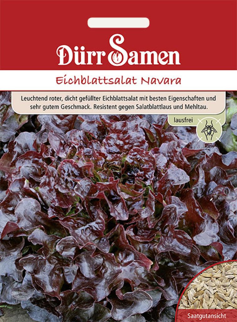 Dürr-Samen - Eichblattsalat Navara - Saatgut - 4129 Produktbild 