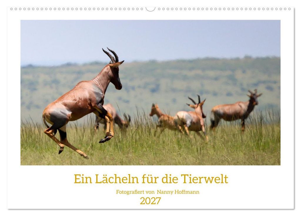 Ein Lächeln für die Tierwelt (Wandkalender 2027 DIN A2 quer), CALVENDO Monatskalender