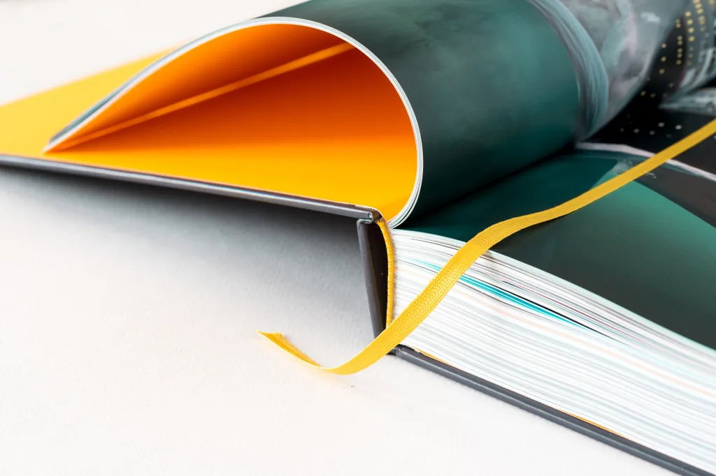 Livre de Data Visualisation : 264 Infographies Design et Colorées