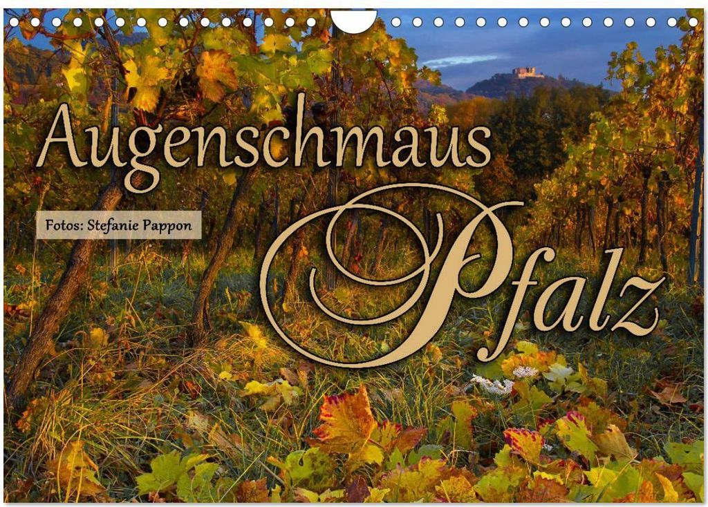 Augenschmaus Pfalz (Wandkalender 2026 DIN A4 quer), CALVENDO Monatskalender