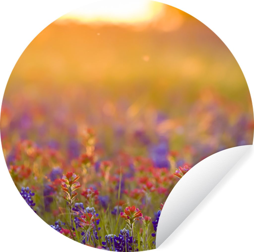 MuchoWow Runde Wandtattoo - Wandsticker Tapete Aufkleber Blumen - Gold - Sonne Ø 80 cm Selbstklebend und Repositionierbar - Wandaufkleber - Krei...