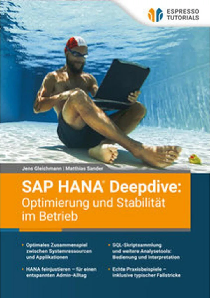 SAP HANA Deepdive : Stabilité Opérationnelle et Performance de Pointe - 2