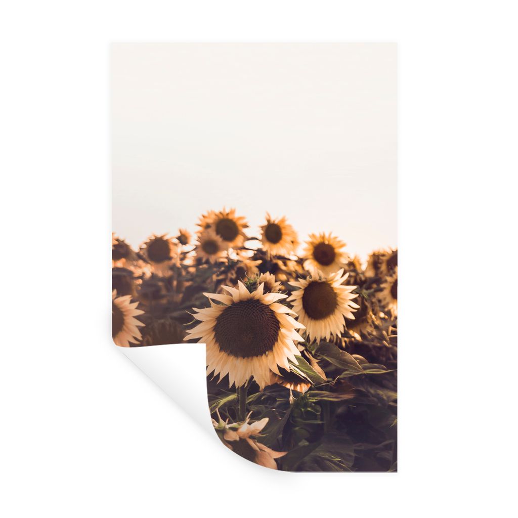 MuchoWow Wandtattoo Wandsticker Wandaufkleber Sonnenblumen - Feld - Sonnenuntergang - Blumen - Gelb 80x120 cm Selbstklebend und Repositionierbar ...