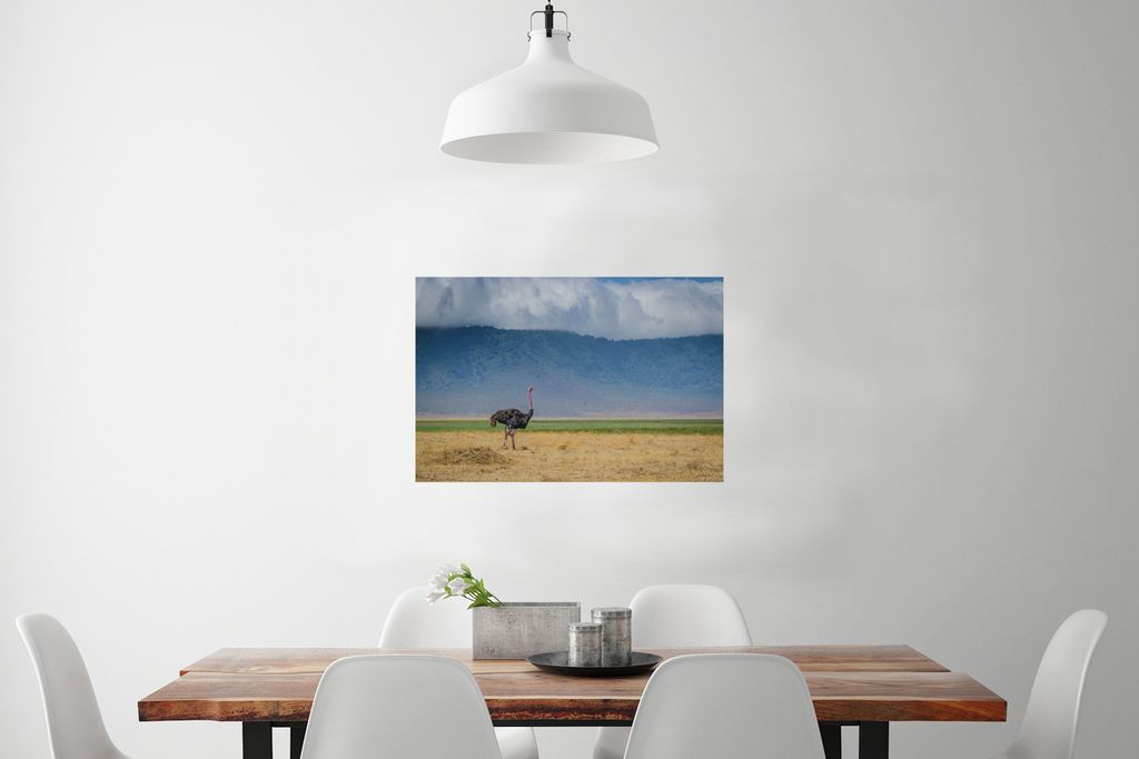 MuchoWow® Poster Strauß inmitten der Savanne des Produktbild 