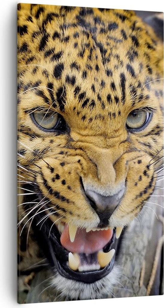 Bild auf Leinwand - Leinwandbild - Leopard tier savanne Produktbild 