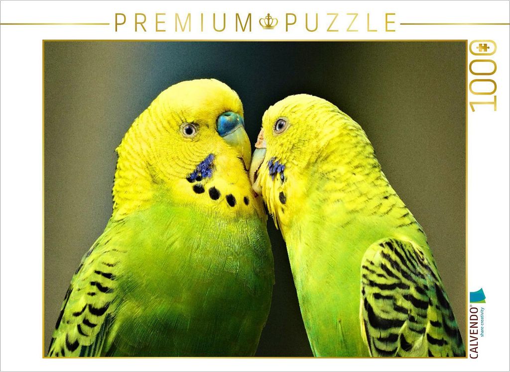 CALVENDO Puzzle Verliebtes Wellensittichpärchen | 1000 Teile Lege-Größe 64x48cm Foto-Puzzle für glückliche Stunden