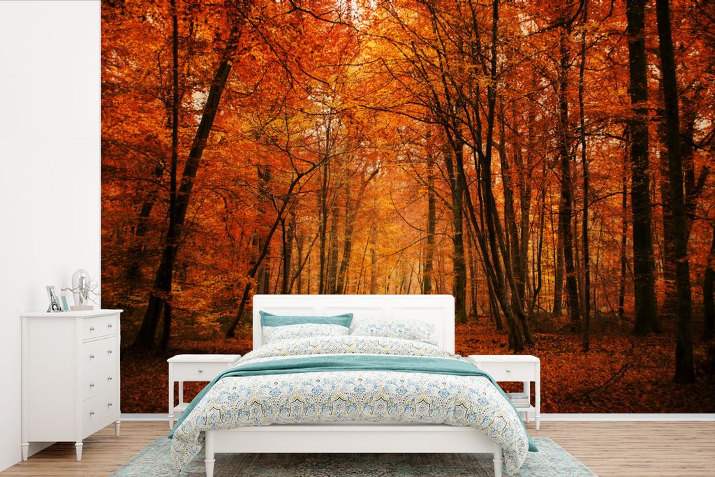 MuchoWow Fototapete für Wohnzimmer oder Schlafzimmer Wandtapete Vinyl Motivtapete Ein Wald mit Herbstfarben - 525x350 cm - Das Hintergrundbild